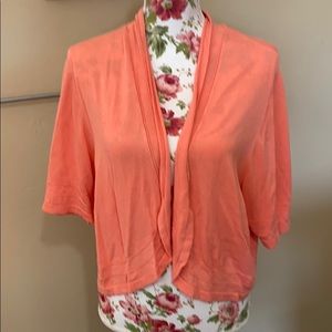 Lane Bryant Size 26/28